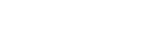 Executive Partner Solutions